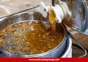 Honey Manual Extractor