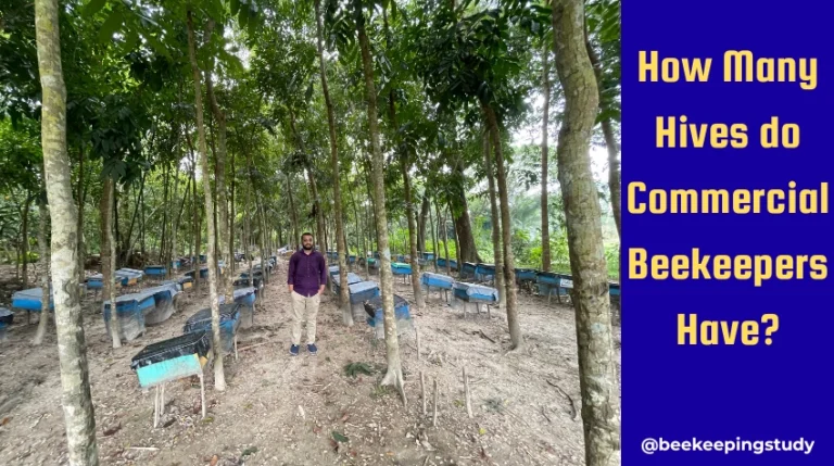 How Many Hives Do Commercial Beekeepers Have?