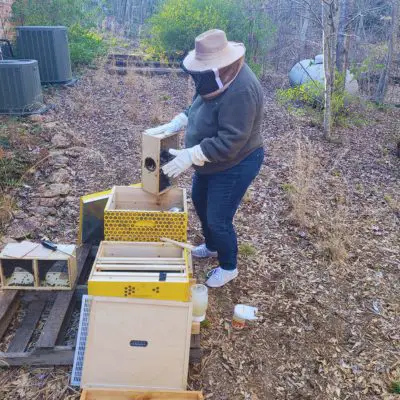 How Much Do Beekeepers Earn
