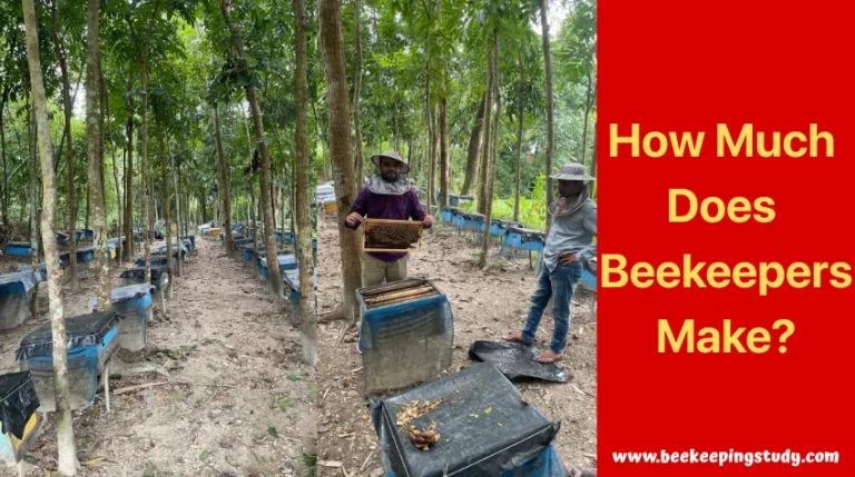 How Much Do Beekeepers Make