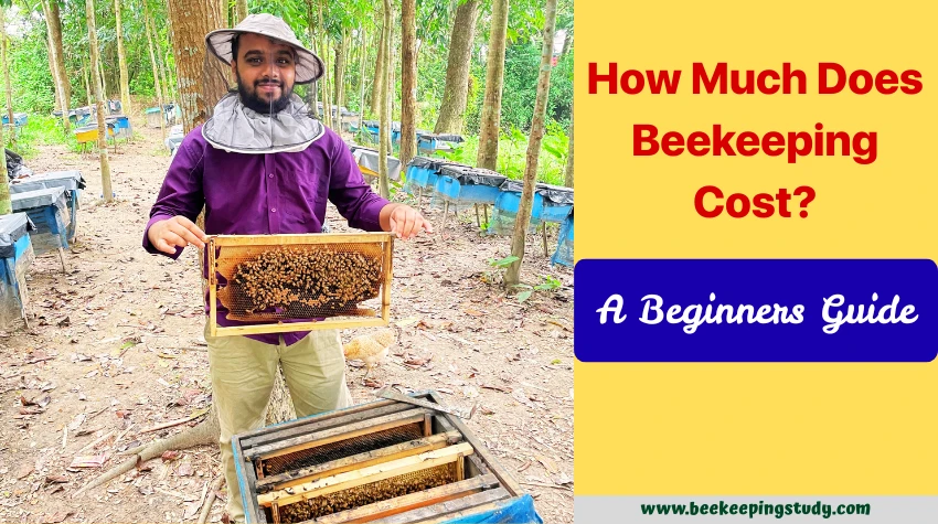 How Much Does Beekeeping Cost