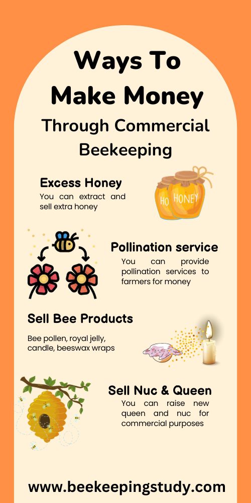 Ways To Make Money Through Commercial Beekeeping