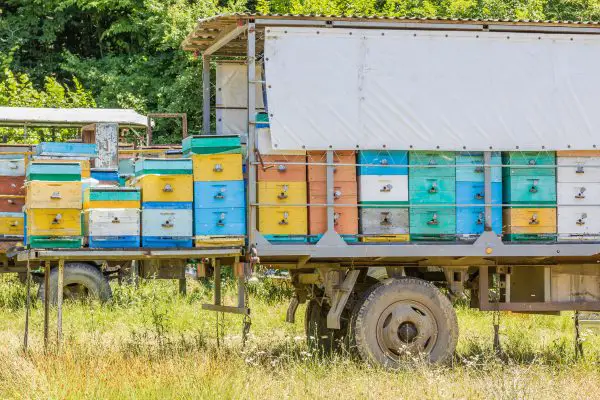 Mobile Apiary