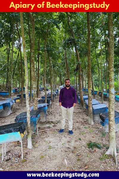 Apiary of Beekeepingstudy