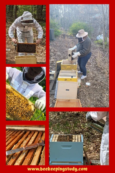 Beekeeping Gears and Necessary Tools