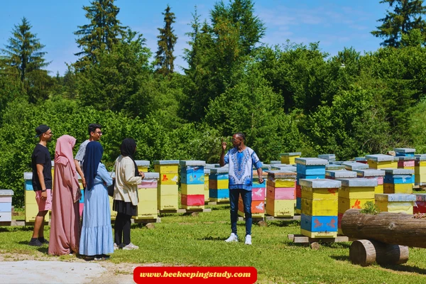 Beekeeping Training