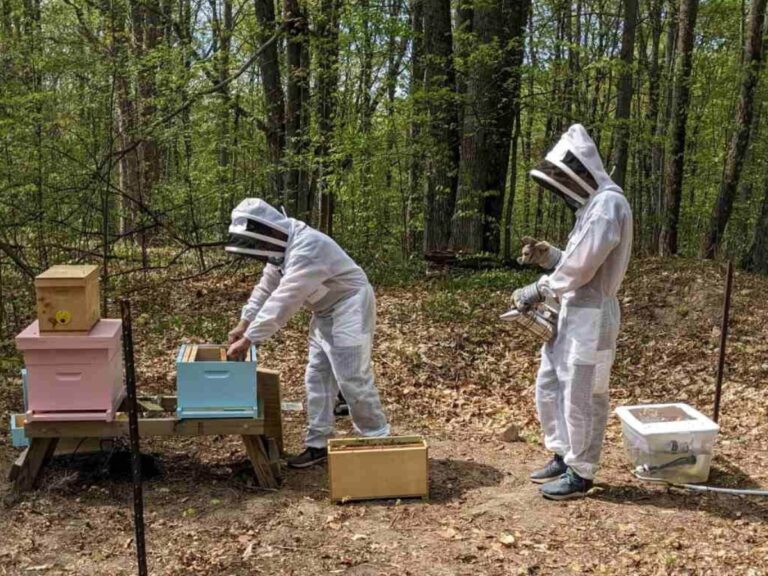 Benefits Of Beekeeping