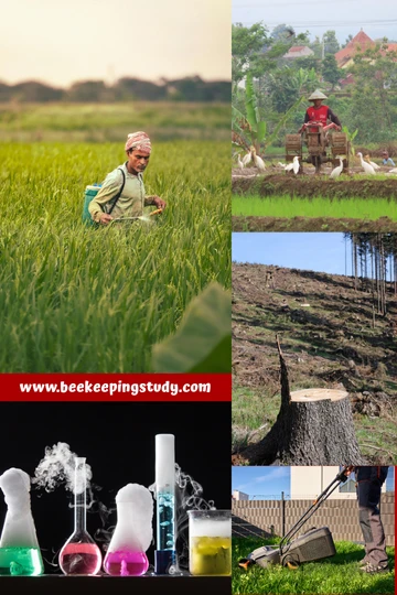 Human Practices Causing Honey Bee Decline