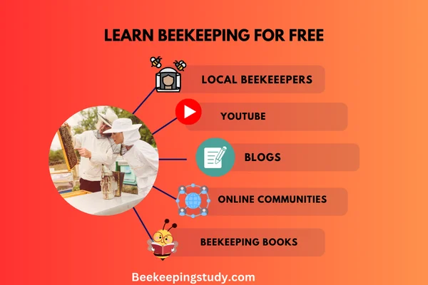 Learn Beekeeping Free Methods