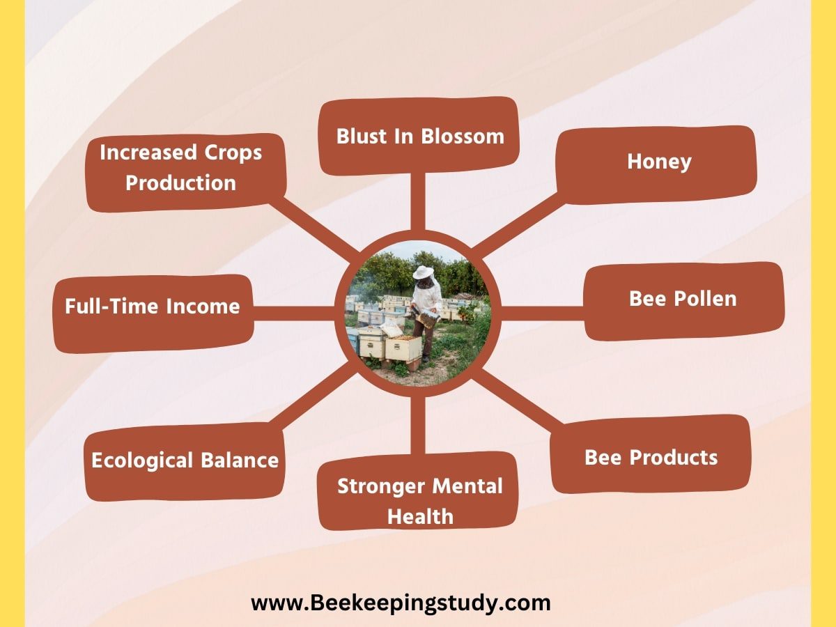 Major Benefits Of Beekeeping