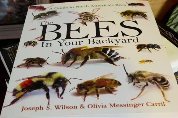 The Bees in Your Backyard by Joseph S. Wilson and Olivia Messinger Carril