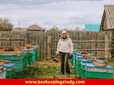 An Online Bee Supplier