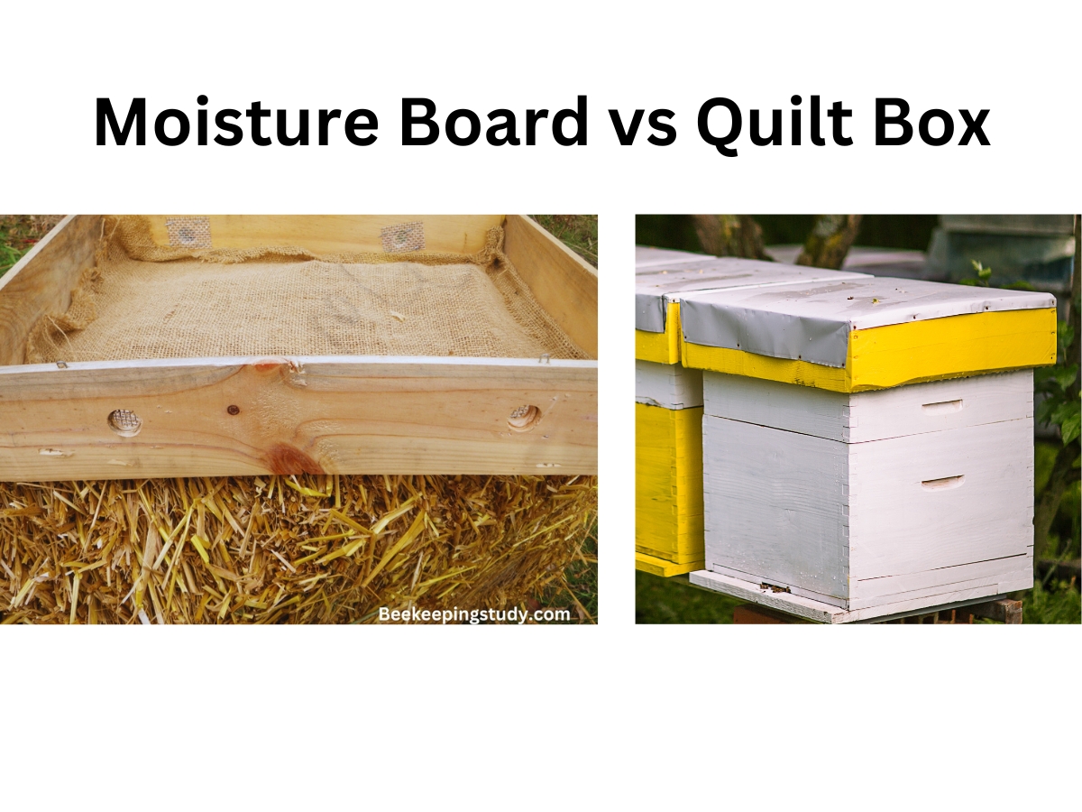 Moisture Board vs Quilt Box