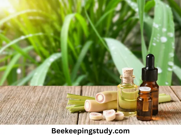 Does lemongrass oil attract bees