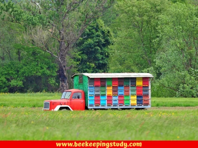 A Mobile Beekeeping Apiary