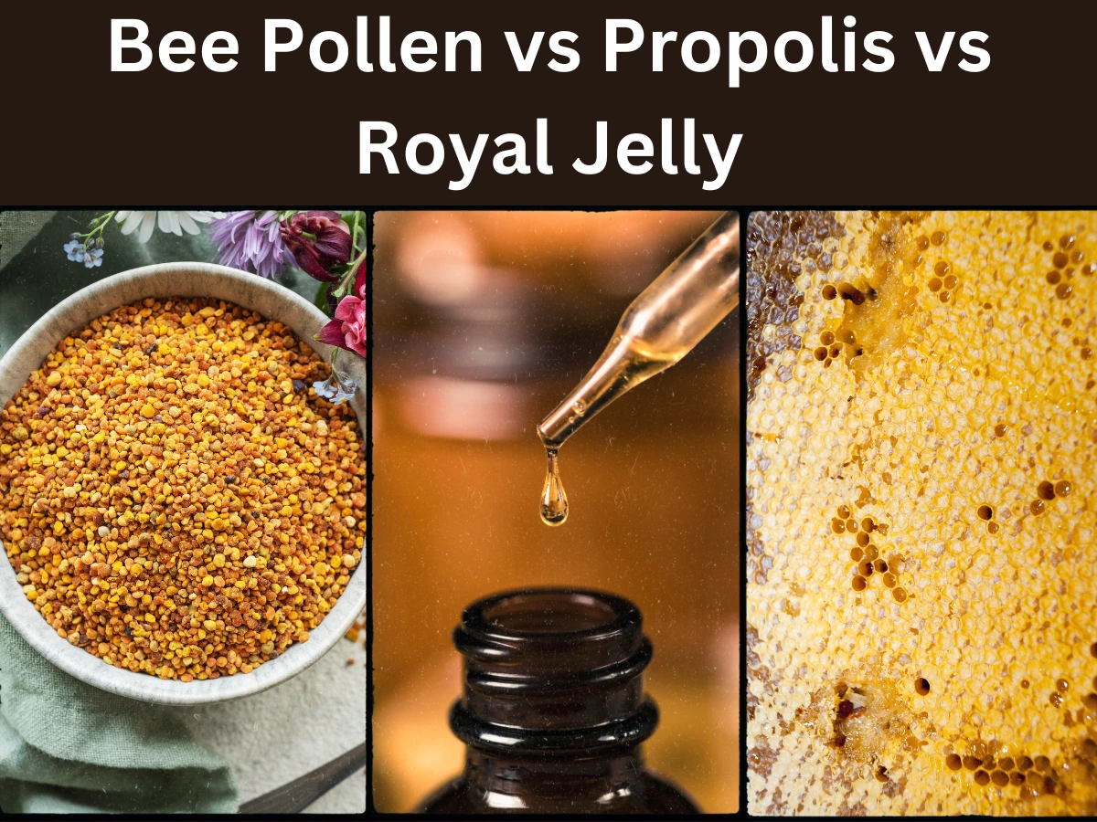 Bee Pollen Vs Propolis Vs Royal jelly - A Comprehensive Guide ...