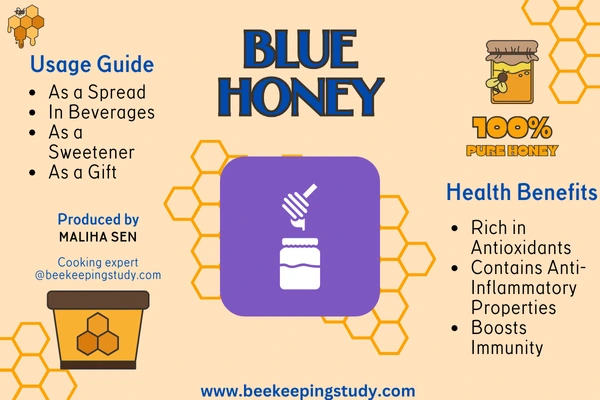 How to Use Blue Honey & Health Benfits Inforgraphics