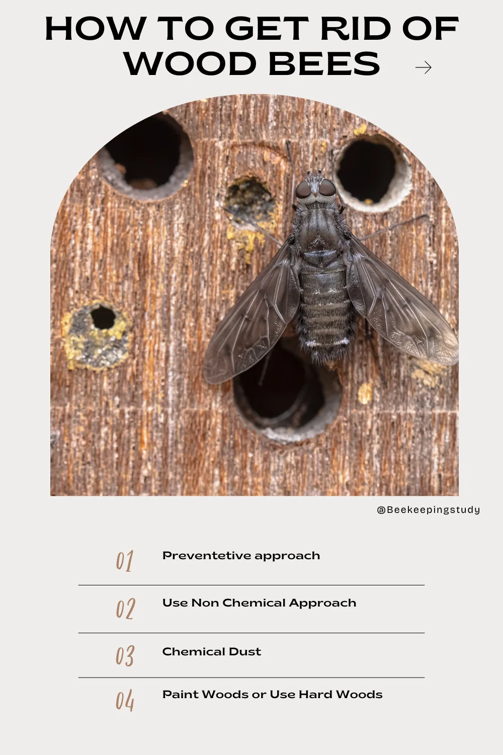 3 Effective Methods To Get Rid of Wood Bees