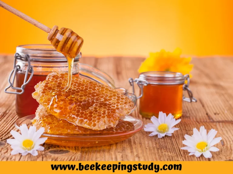 DIY Easy Creamed Honey Recipe