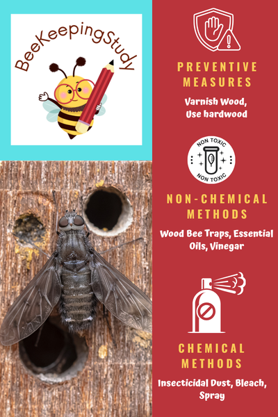 Different Ways to Get Rid of Wood Bees