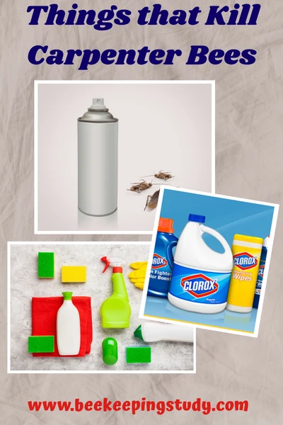 Things that kill carpenter bees