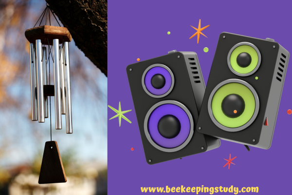 Chimes and Speaker To Repell Carpenter bees