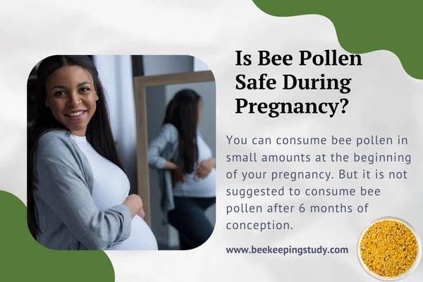 Is Bee Pollen Safe During Pregnancy