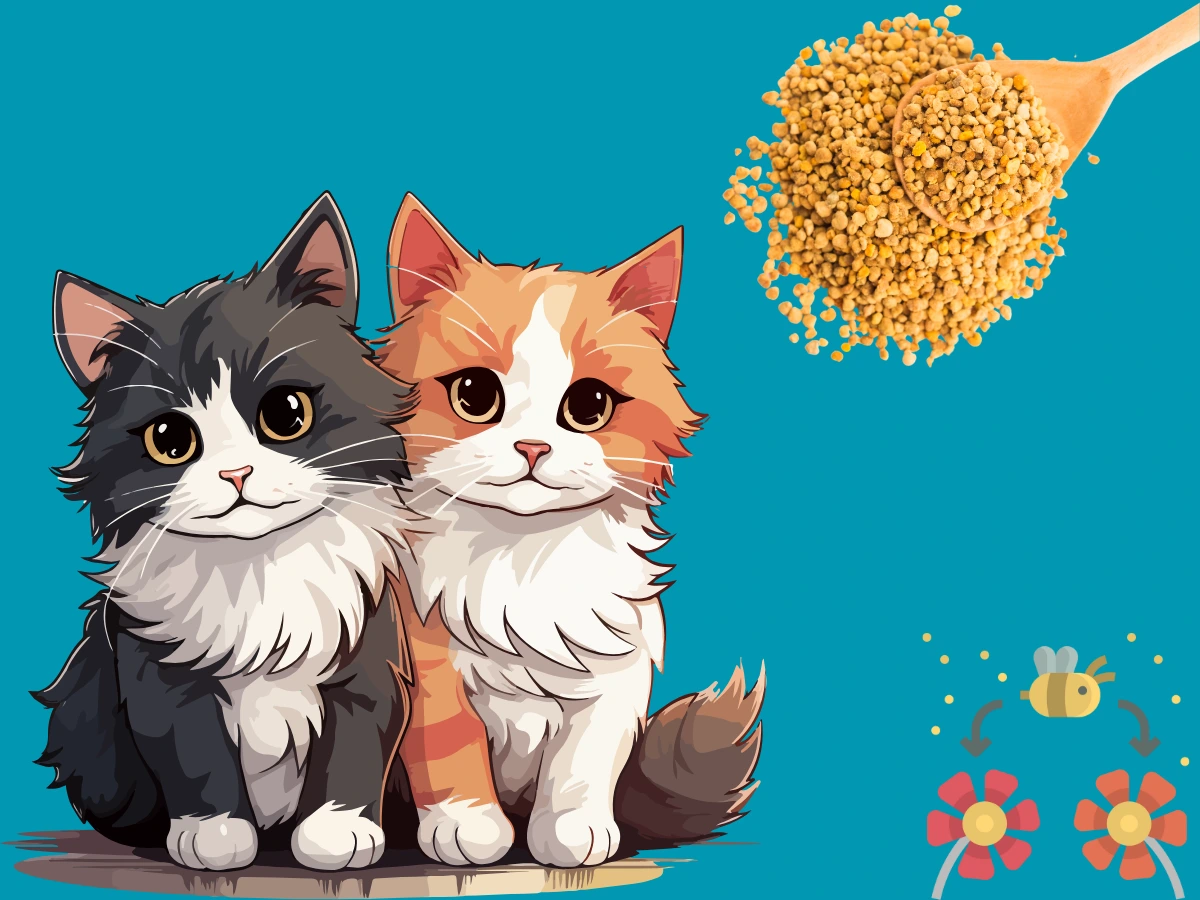 Bee pollen for cats