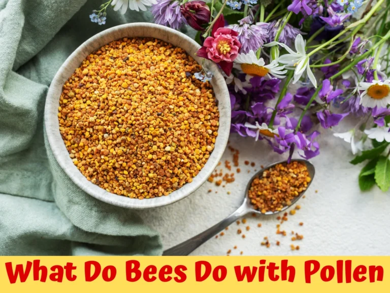 What Do Bees Do with Pollen