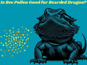 Is Bee Pollen Good for Bearded Dragons
