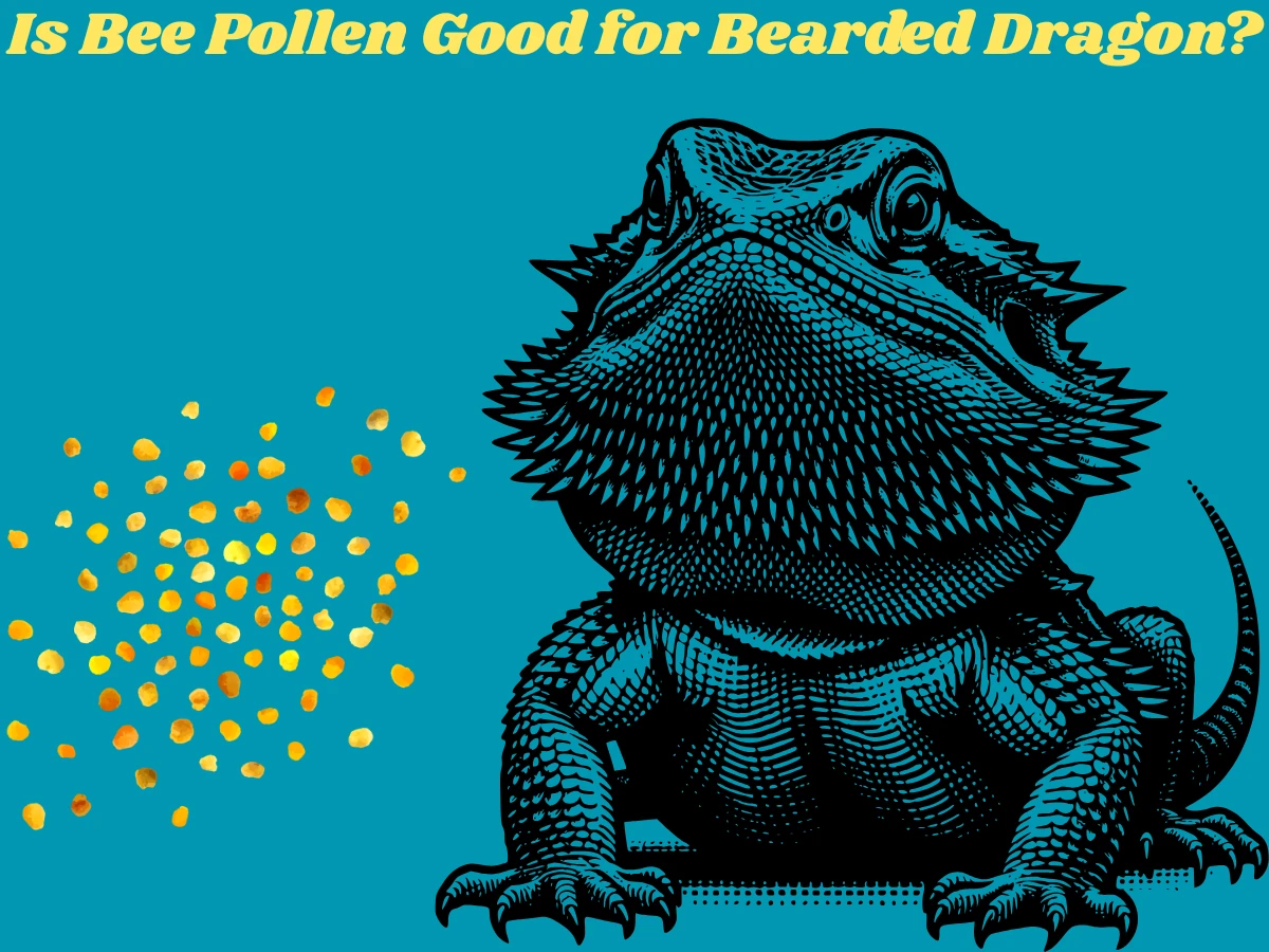 Is Bee Pollen Good for Bearded Dragons