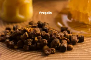 Propolis
