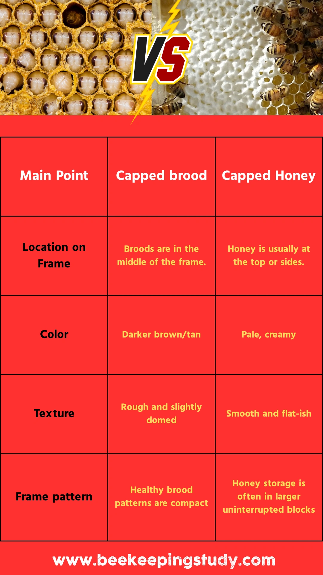 Capped Brood vs Capped Honey