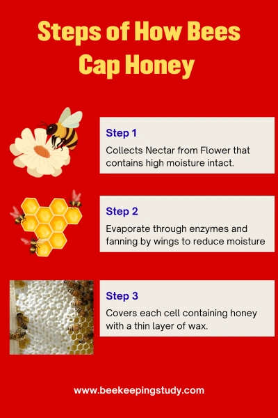 Capped honey Process