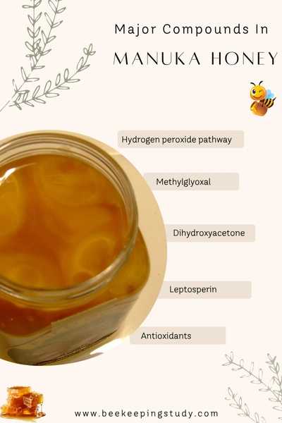 Major Compounds In Manuka honey