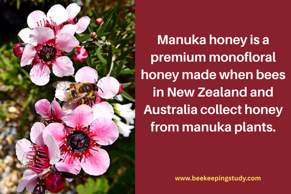 What is Manuka Honey