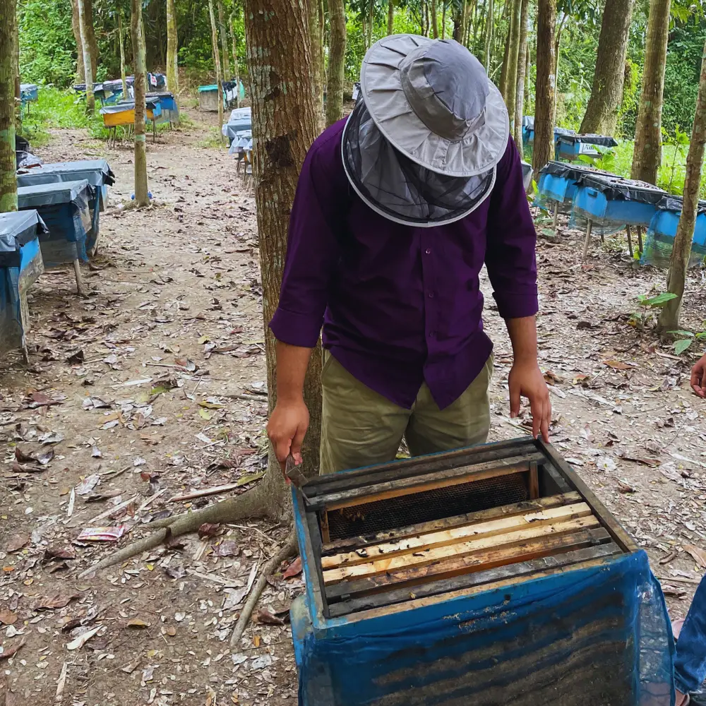 Anthor Kumar Das Beekeeper