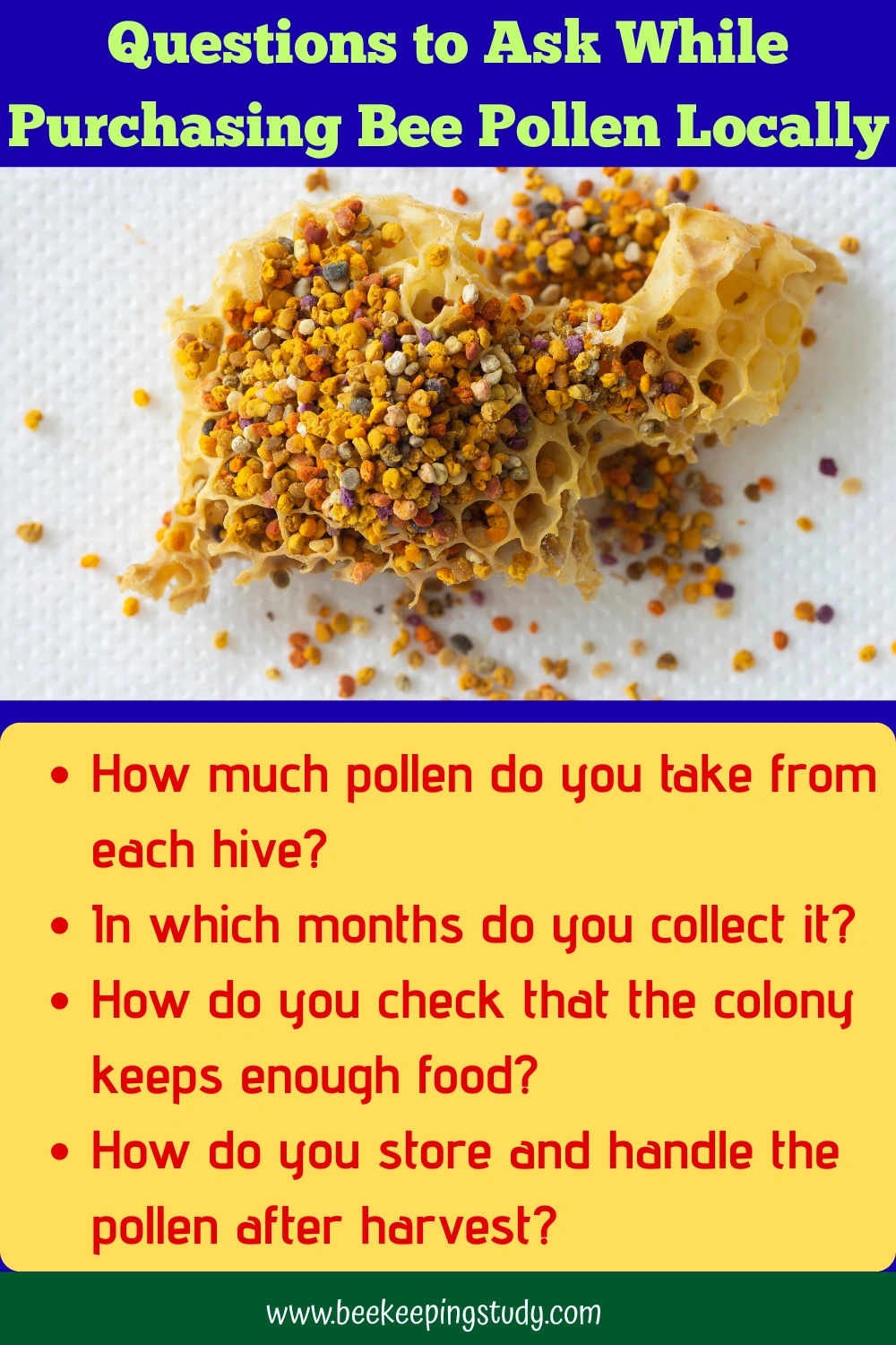 Bee Pollen Buying Guide