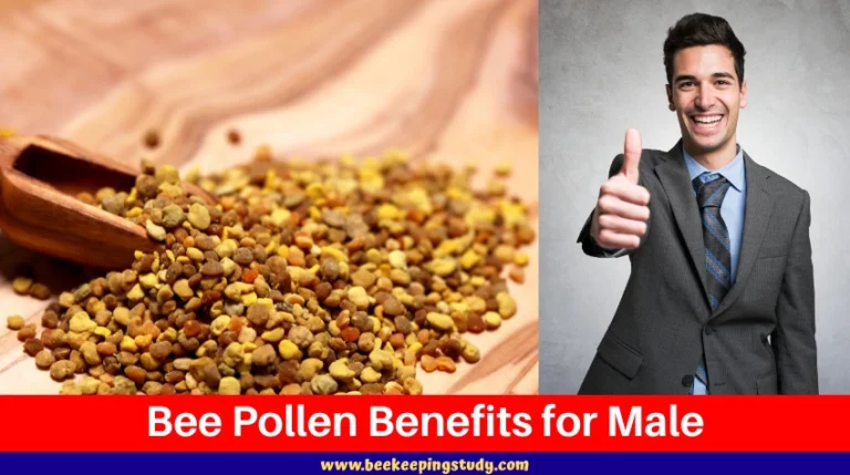 Bee Pollen Benefits for Male