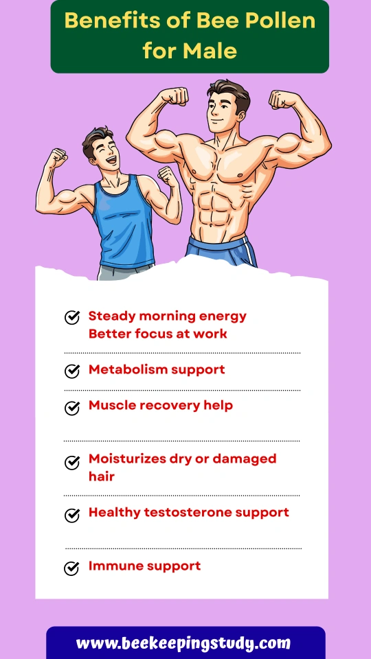 Benefits of Bee Pollen for Male