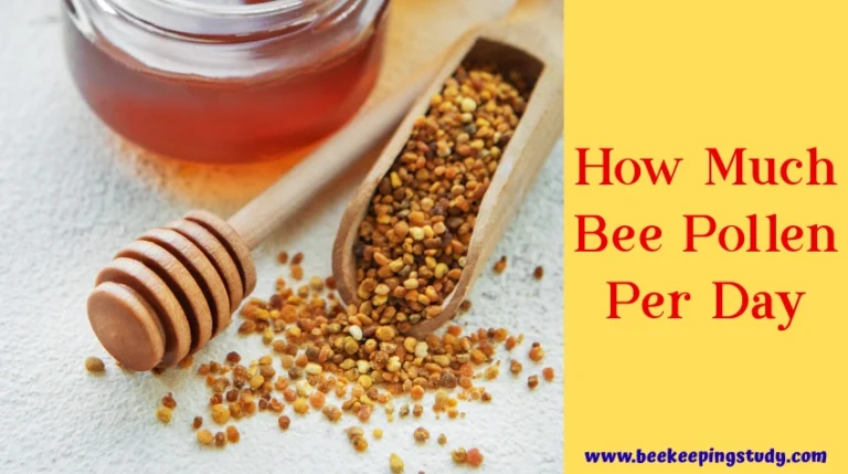Superfood Dosage Guide: How Much Bee Pollen Per Day