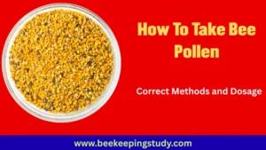 How To Take Bee Pollen Dosage and Usage