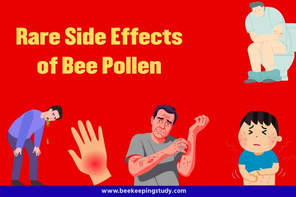 Side Effects of Bee Pollen