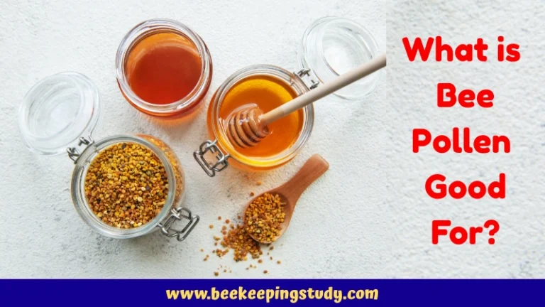 What is Bee Pollen Good For