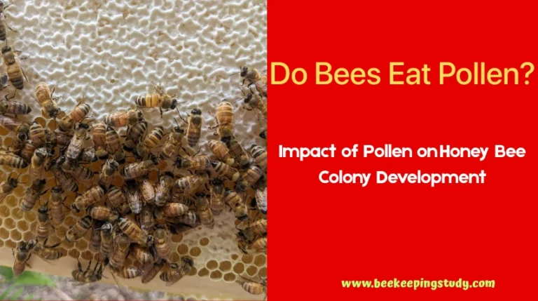 Do Bees Eat Pollen