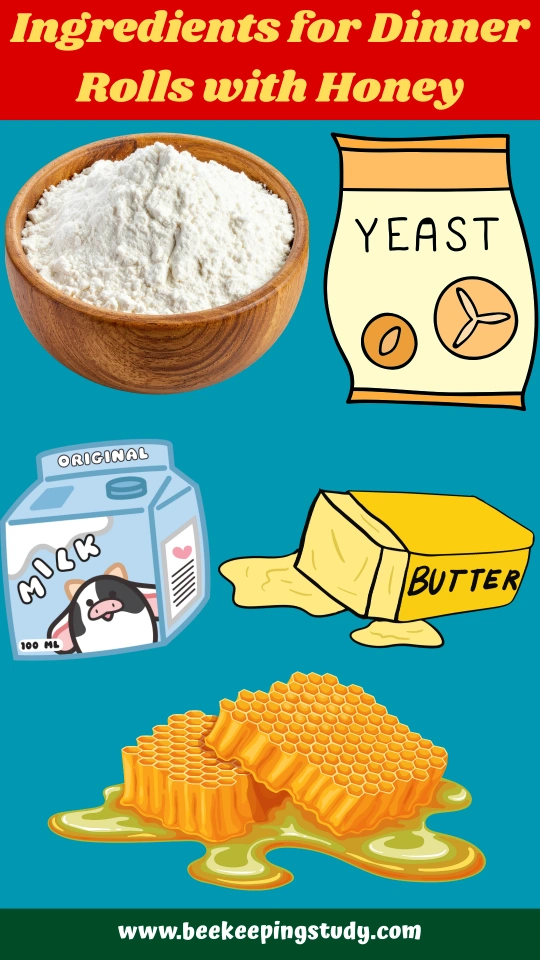 Ingredients for Dinner Rolls with Honey