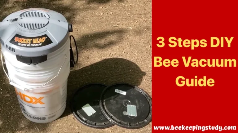 3 Steps DIY Bee Vacuum Guide