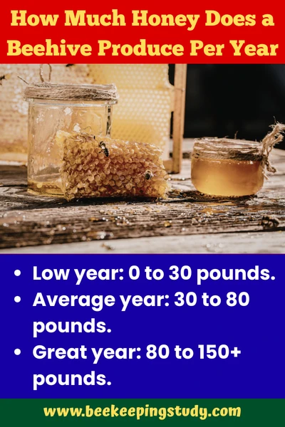 How Much Honey Does One Beehive Produce Per Year