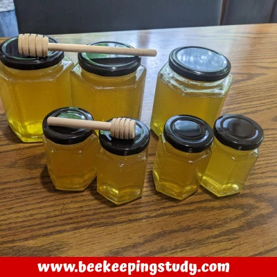 How Much Honey Can You Harvest From a Hive Without Harming the Bees