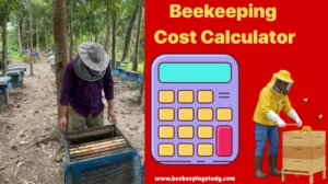 Beekeeping Cost Calculator